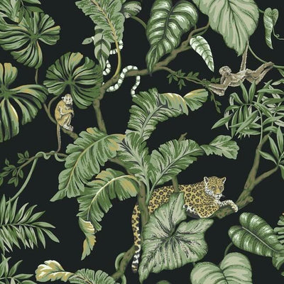 product image for Jungle Cat Wallpaper in Black from the Traveler Collection by Ronald Redding 5