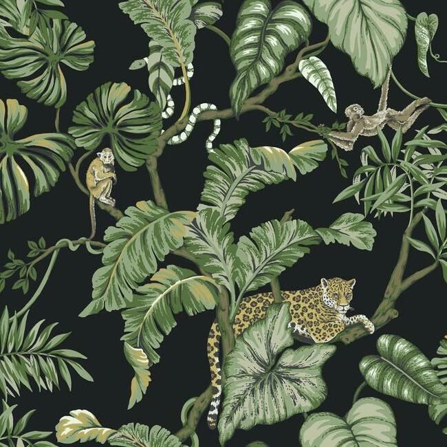 media image for Jungle Cat Wallpaper in Black from the Traveler Collection by Ronald Redding 264