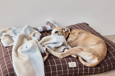 product image for kaya dog blanket medium 7 24
