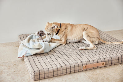 product image for kaya dog blanket medium 9 40