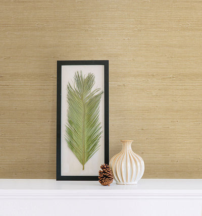 product image for Kostya Cream Grasscloth Wallpaper from the Jade Collection by Brewster Home Fashions 25