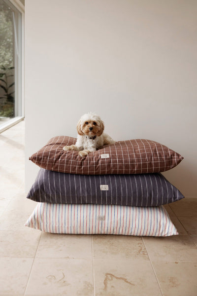 product image for kyoto dog cushion choko 6 11