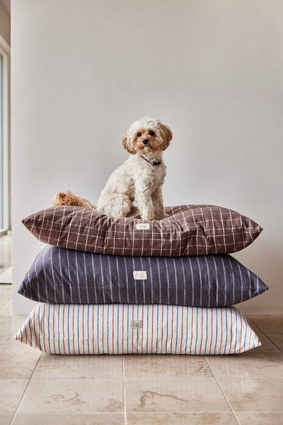 product image for kyoto dog cushion anthracite 5 12