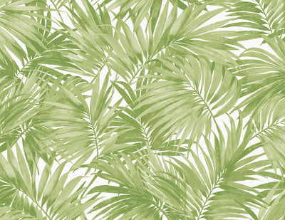 product image of Cordelia Tossed Palms Wallpaper in Spring Green 586