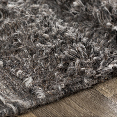 product image for Lugano LUG-2301 Hand Woven Rug in Charcoal & Cream by Surya 20