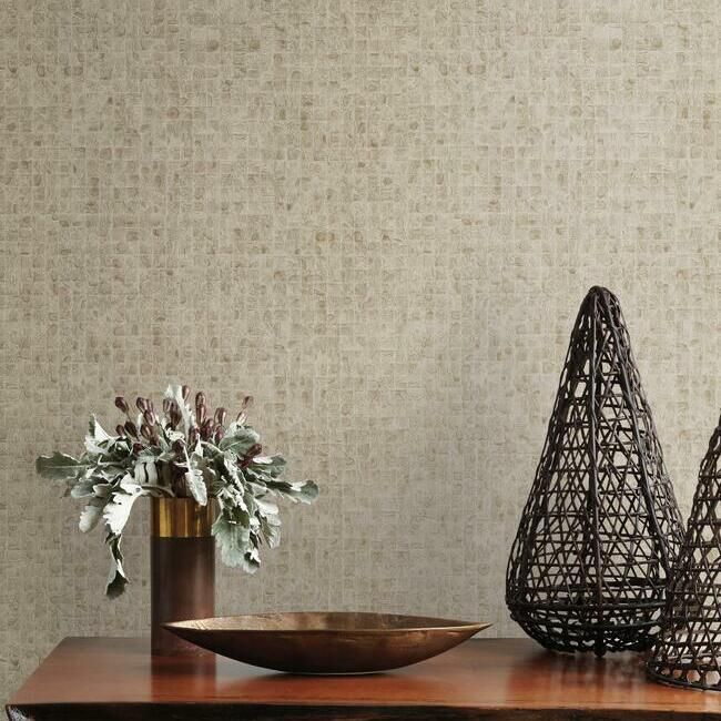 media image for Leather Lux Wallpaper in Beige from the Traveler Collection by Ronald Redding 251