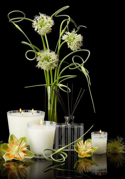 product image for lemongrass ginger reed diffuser design by nest fragrances 3 87