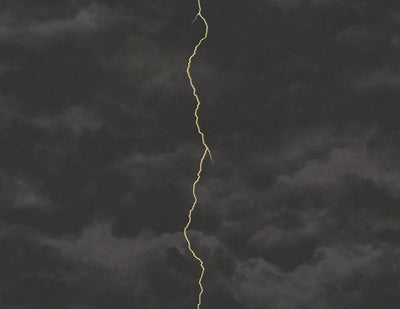product image for Lightning Wallpaper in Gunmetal, Silver, and Black from the Aerial Collection by Mayflower  28