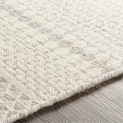 product image for Mardin MDI-2307 Hand Woven Rug in Beige & Medium Grey by Surya 81