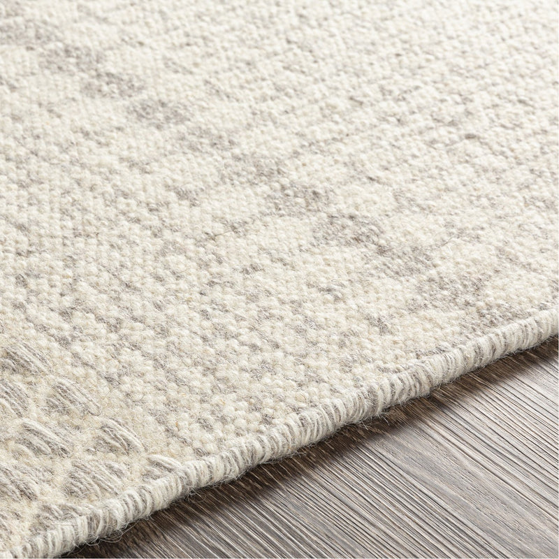 media image for Mardin MDI-2307 Hand Woven Rug in Beige & Medium Grey by Surya 230