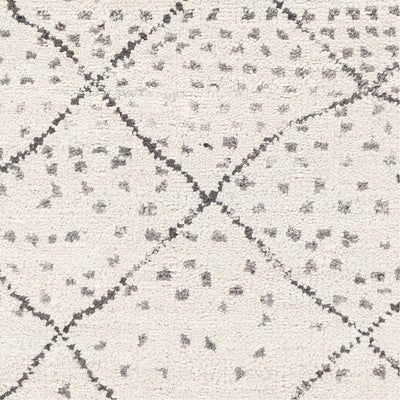 product image for Meknes MEK-1004 Hand Knotted Rug in Cream & Charcoal by Surya 6