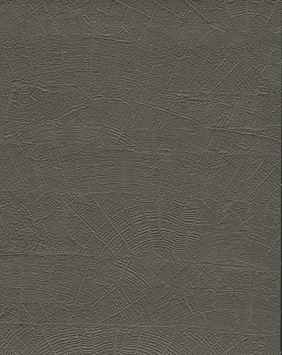 product image of sample on deck wallpaper in shadow grey brown from the natural digest collection 1 581