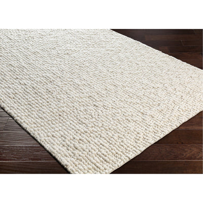 product image for Neravan NER-1003 Hand Woven Rug in Cream by Surya 39