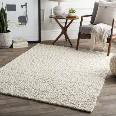 product image for Neravan NER-1003 Hand Woven Rug in Cream by Surya 40