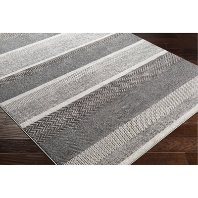 product image for Nepali NPI-2302 Rug in Black & Cream by Surya 29