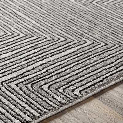 product image for Nepali NPI-2316 Rug in Black & Medium Gray by Surya 61