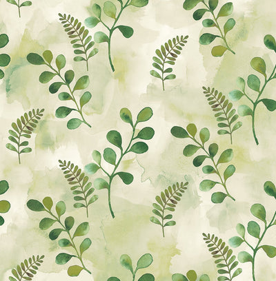 product image of Woodland Walk Summer Fern Peel-and-Stick Wallpaper by NextWall 541