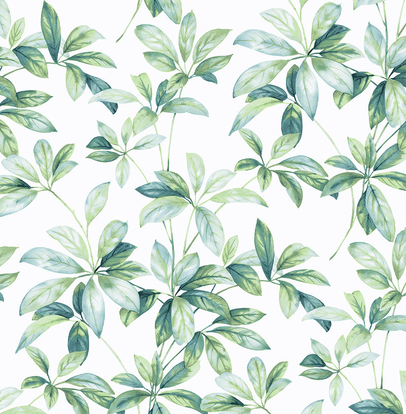 media image for Leaf Trail Peel-and-Stick Wallpaper in Seaglass 235