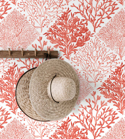 product image for Seaweed Peel-and-Stick Wallpaper in Vermillion 71