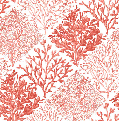 product image of Seaweed Peel-and-Stick Wallpaper in Vermillion 538