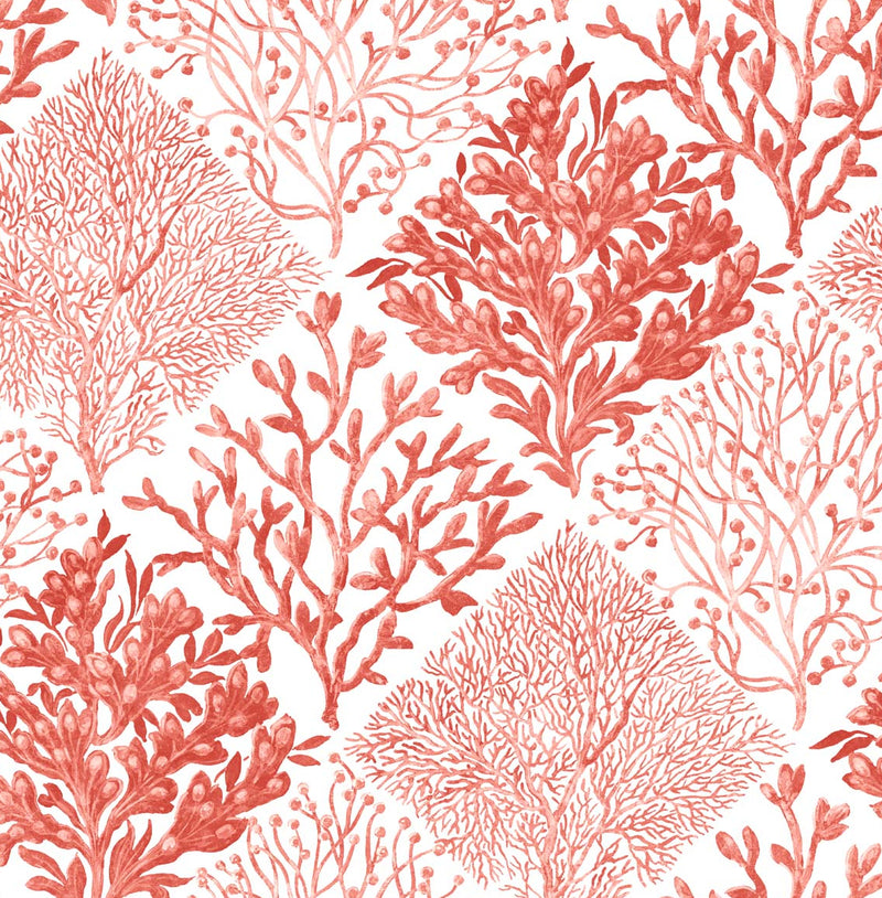 media image for Seaweed Peel-and-Stick Wallpaper in Vermillion 293