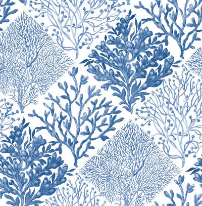 product image for Seaweed Peel-and-Stick Wallpaper in Coastal Blue 1