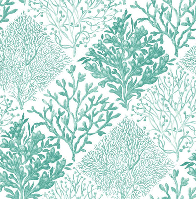 product image of Seaweed Peel-and-Stick Wallpaper in Seaglass 598