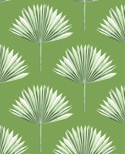 product image for Tropical Fan Palm Peel-and-Stick Wallpaper in Green Sprout 12