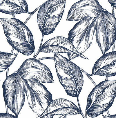 product image of Sketched Leaves Peel-and-Stick Wallpaper in Navy Blue 548