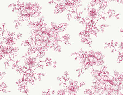 product image for Sketched Floral Peel & Stick Wallpaper in Pink 37