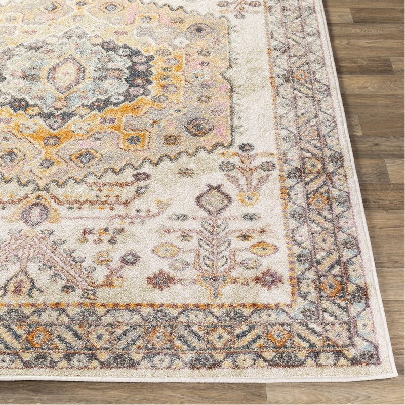 media image for New Mexico NWM-2312 Rug in Khaki & Butter by Surya 276