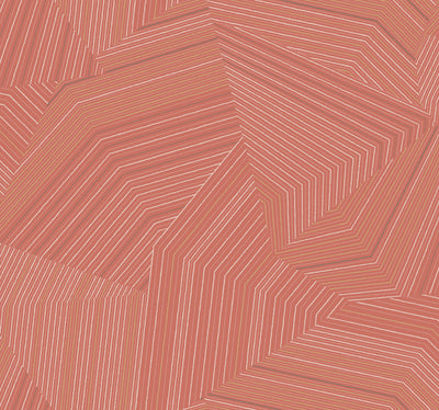 product image for Dotted Maze Wallpaper in Desert Red 11