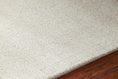 product image for orim ivory hand woven solid rug by chandra rugs ori26500 576 4 96