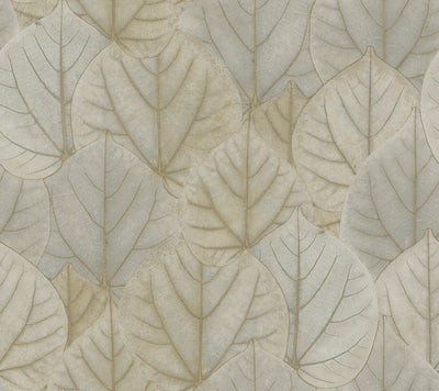 product image of Leaf Concerto Wallpaper in Taupe by Candice Olson for York Wallcoverings 554