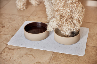 product image for sia dog bowl small 9 71