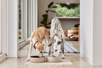 product image for sia dog bowl large 11 59