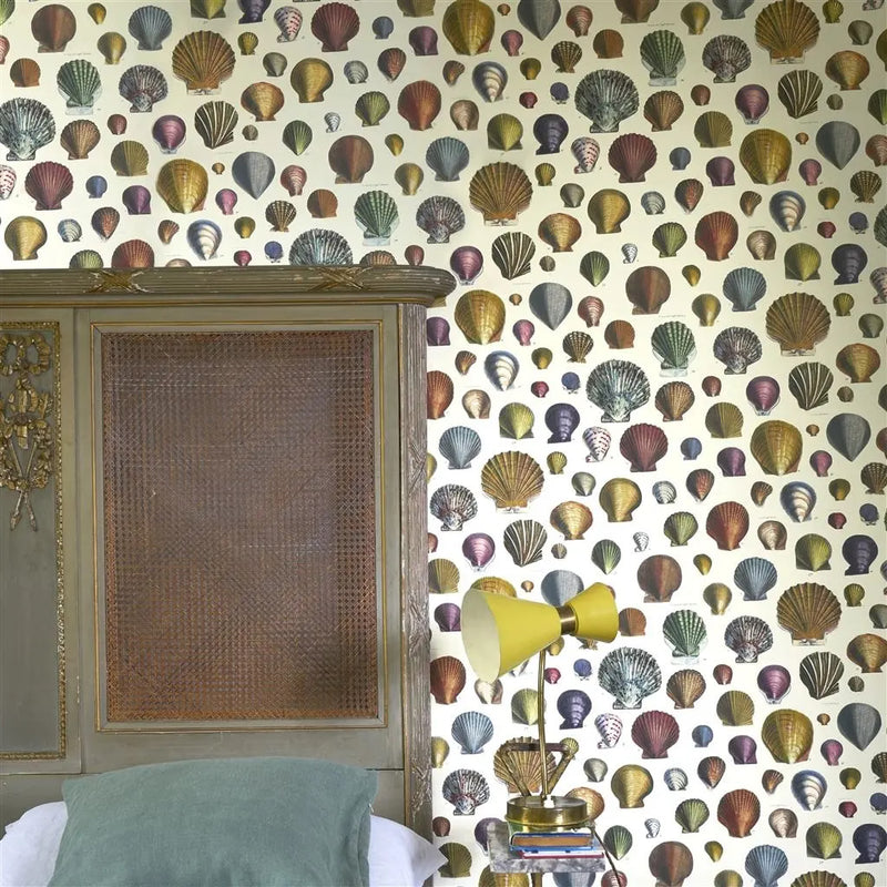 media image for Captain Thomas Browns Shells Sepia Wallpaper by John Derian for Designers Guild 288