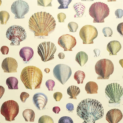 product image for Captain Thomas Browns Shells Sepia Wallpaper by John Derian for Designers Guild 20