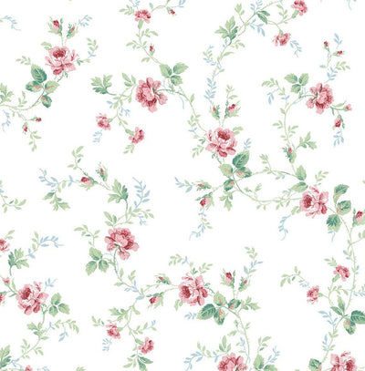 product image of Meadow Floral Trail Wallpaper in Blush & Spearmint 568