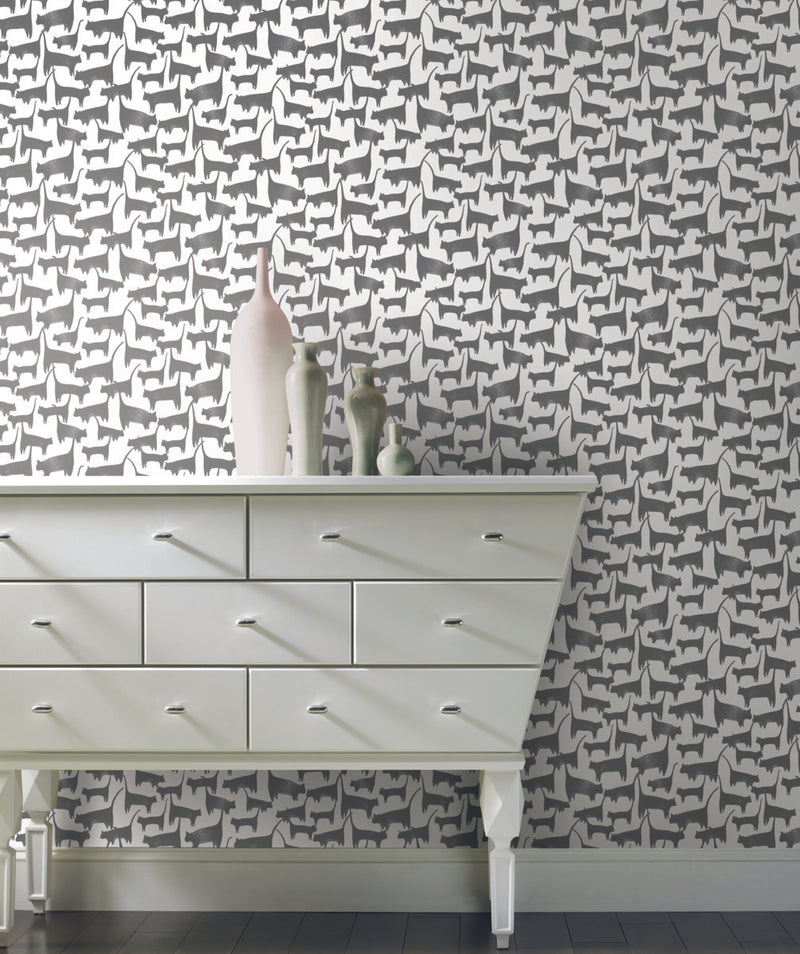 media image for Cat Tails Black Peel & Stick Wallpaper by York Wallcoverings 233