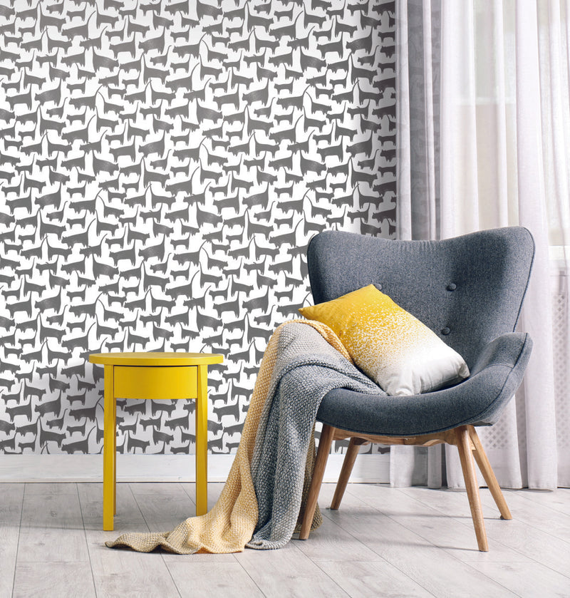 media image for Cat Tails Black Peel & Stick Wallpaper by York Wallcoverings 281