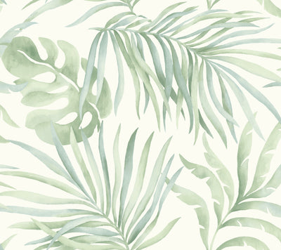 product image of Paradise Palm Aloe Peel & Stick Wallpaper by Candice Olson 59