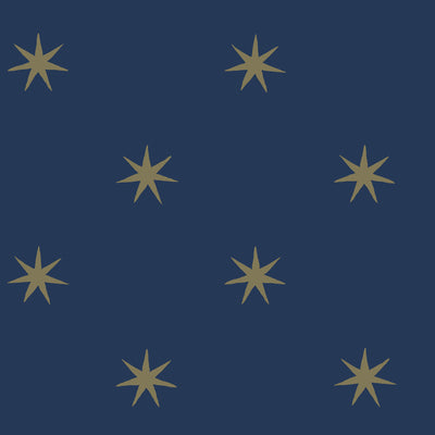 product image for Star Splendor Peel & Stick Wallpaper in Navy/Metallic Gold 67