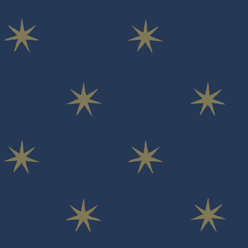 media image for Star Splendor Peel & Stick Wallpaper in Navy/Metallic Gold 23