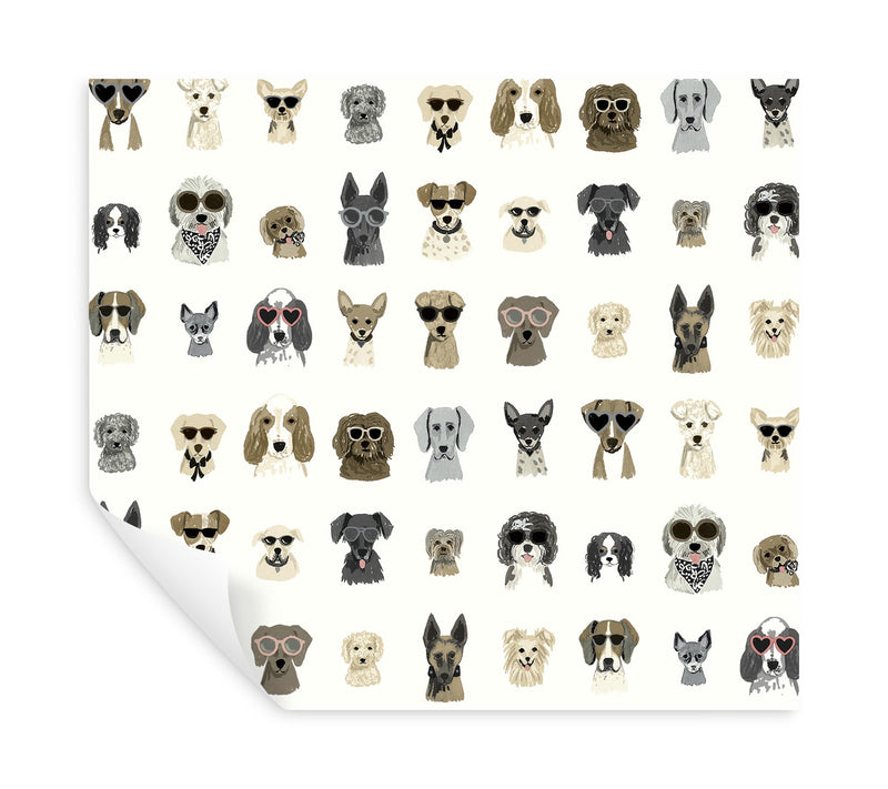 media image for Dog Days Grey Peel & Stick Wallpaper by York Wallcoverings 238