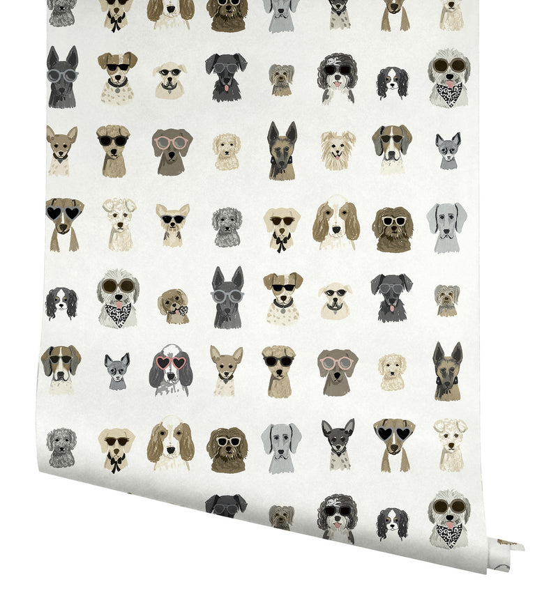 media image for Dog Days Grey Peel & Stick Wallpaper by York Wallcoverings 264