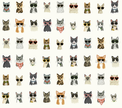 product image of Cool Cats Multi White Peel & Stick Wallpaper by York Wallcoverings 541