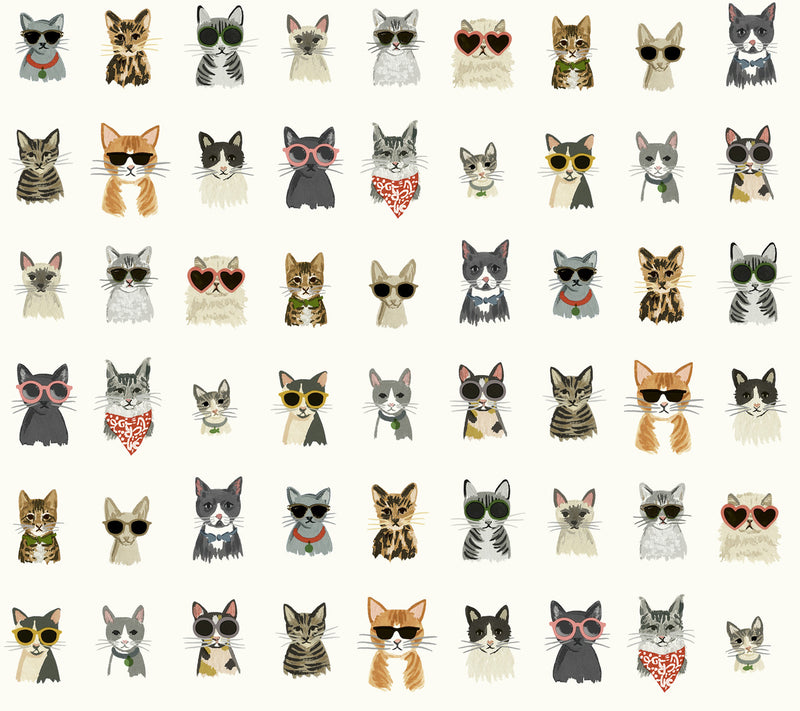 media image for Cool Cats Multi White Peel & Stick Wallpaper by York Wallcoverings 23