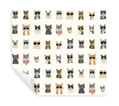 product image for Cool Cats Multi White Peel & Stick Wallpaper by York Wallcoverings 49