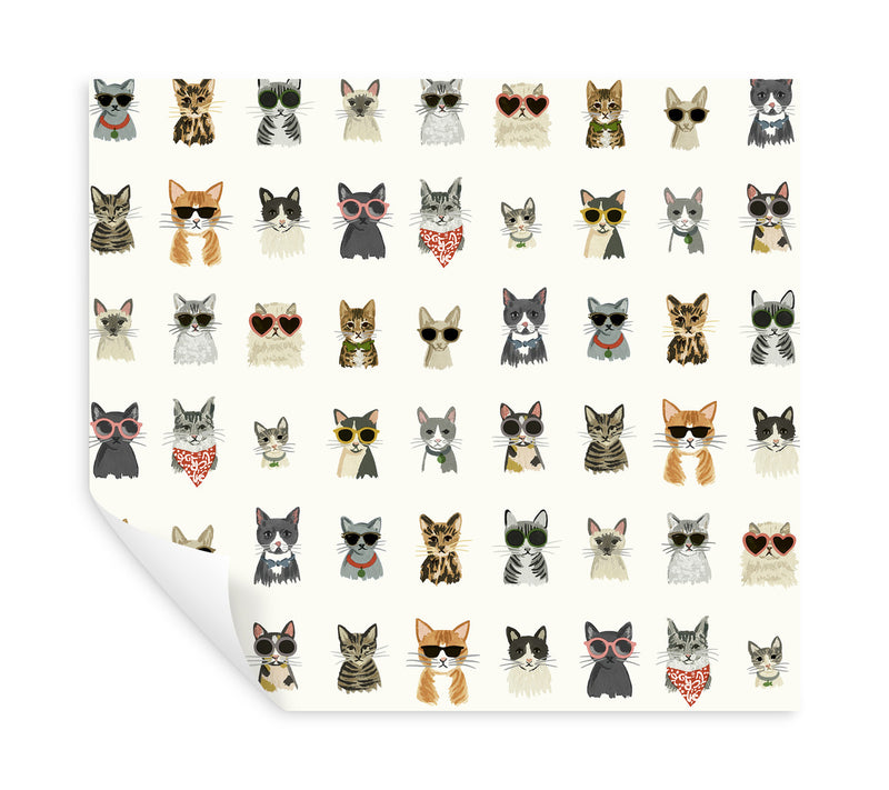 media image for Cool Cats Multi White Peel & Stick Wallpaper by York Wallcoverings 275